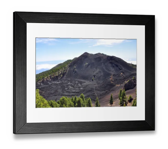Framed Print : Duraznero Volcano, Canary Island Pines (Pinus canariensis)