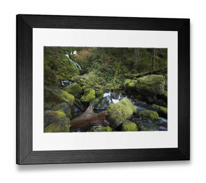Framed Print : Bunch Creek Falls at the Quinault Lake Framed Print : Bunch Creek Falls at the Quinault Lake