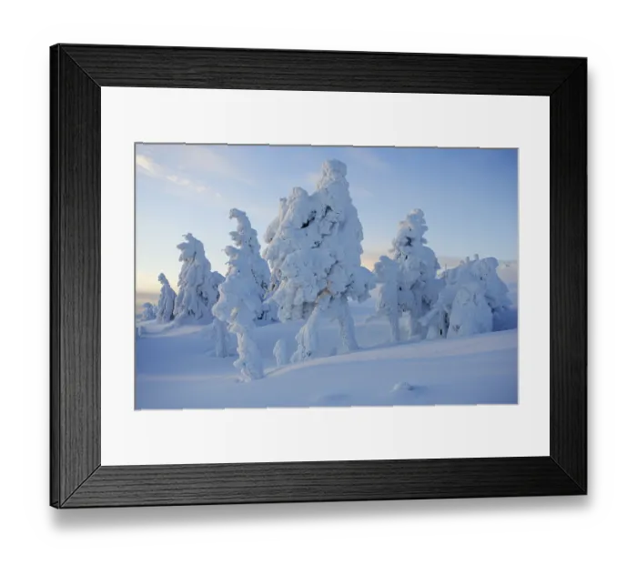 Framed Print : 'Brockenhexen', so-called Brocken witches