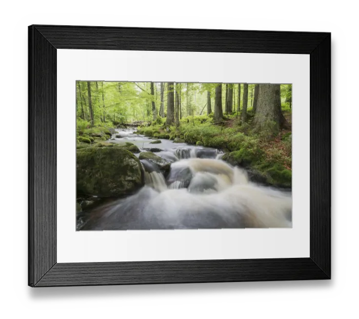 Framed Print : Kleine Ohe mountain stream, Bavarian Forest National Park