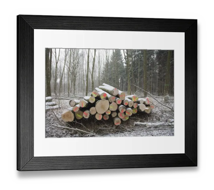 Framed Print : Wuerselener Forest in winter, near Aachen