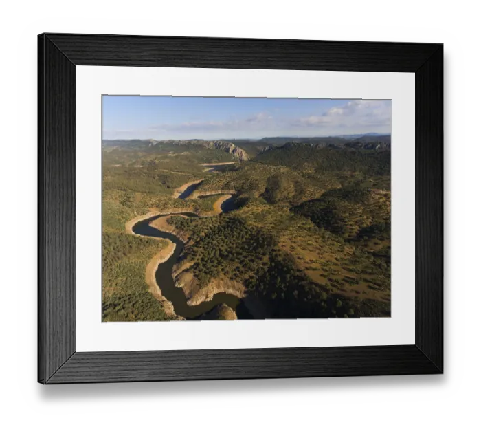 Framed Print : Dehesa, holm oak forest with river