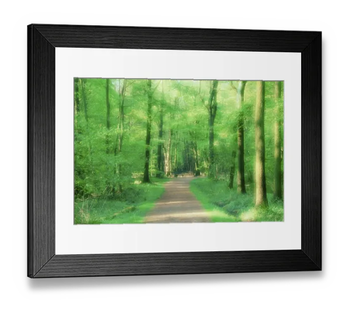 Framed Print : Forest path in spring, North Rhine-Westphalia Framed Print : Forest path in spring, North Rhine-Westphalia