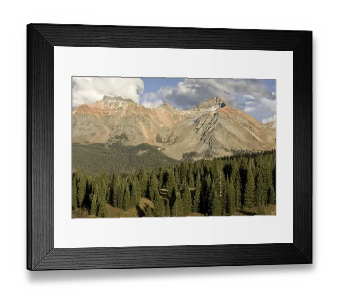 Framed Print : View across high forest habitat of white spruce (Picea engelmannii) towards the mountain top Framed Print : View across high forest habitat of white spruce (Picea engelmannii) towards the mountain top