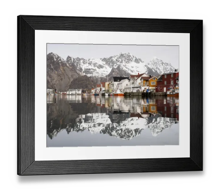 Framed Print : The Lofoten mountains being reflected in the water of the harbour of Henningsvaer Framed Print : The Lofoten mountains being reflected in the water of the harbour of Henningsvaer