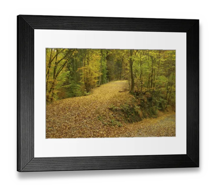 Framed Print : Weg im Herbstwald, Weg im Herbstwald
