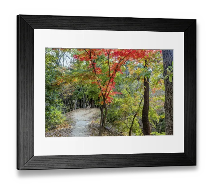Framed Print : Dirt path in mountain park with trees in fall colors in South Korea
