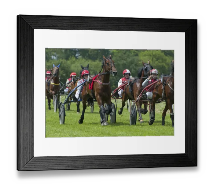 Framed Print : Horse racing, harness racing at the racecourse Framed Print : Horse racing, harness racing at the racecourse