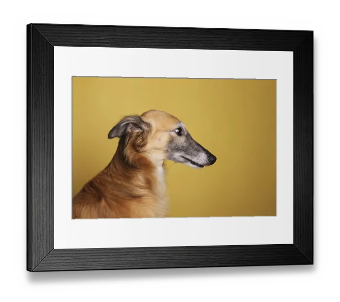 Framed Print : Silken Wind Sprite, male, portrait, yellow