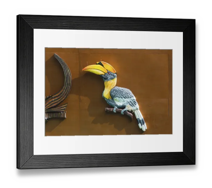Framed Print : Great Indian Hornbill, symbol of the Hornbill Festival Framed Print : Great Indian Hornbill, symbol of the Hornbill Festival