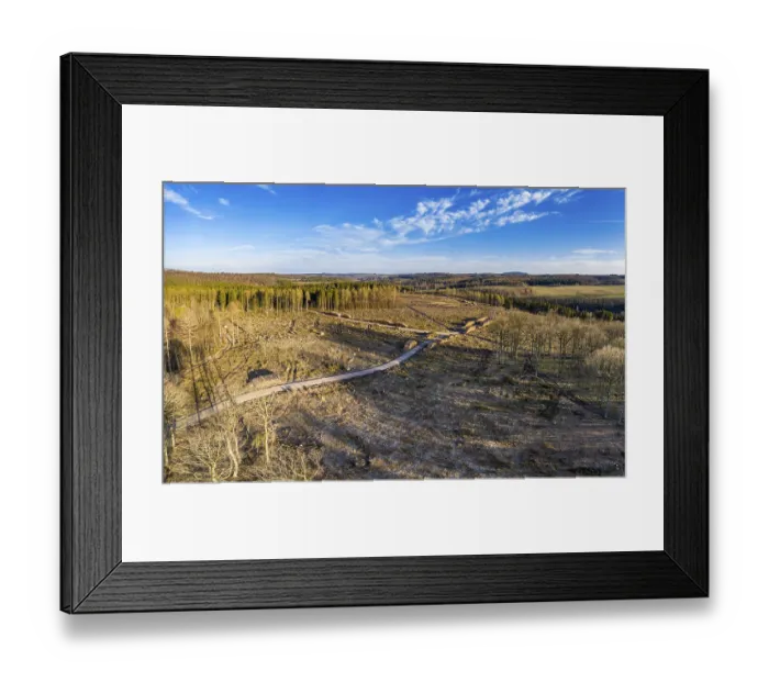 Framed Print : Forest dieback due to drought and bark beetles Framed Print : Forest dieback due to drought and bark beetles
