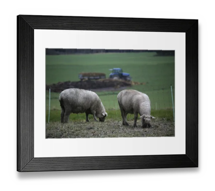 Framed Print : Agriculture Framed Print : Agriculture