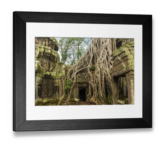 Framed Print : Ta Prohm temple ruins, Angkor, Cambodia, Asia Framed Print : Ta Prohm temple ruins, Angkor, Cambodia, Asia