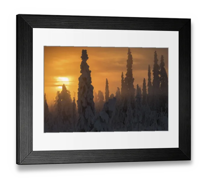 Framed Print : Foggy mood, Muddus National Park Framed Print : Foggy mood, Muddus National Park