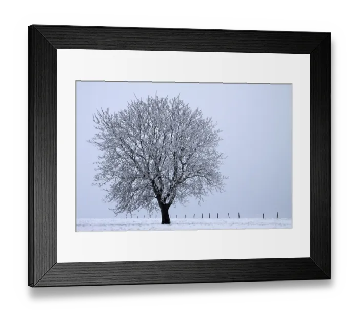 Framed Print : Misty winter landscape with tree