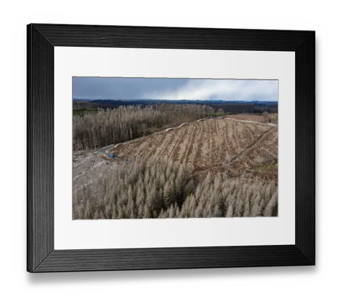 Framed Print : Area in the Arnsberg Forest near Warstein-Sichtigvor