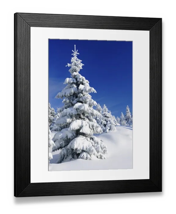 Framed Print : Snow-covered untouched winter landscape Framed Print : Snow-covered untouched winter landscape