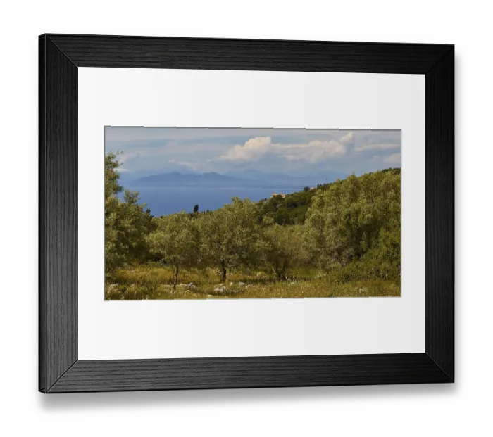 Framed Print : Olive grove, view of the mainland