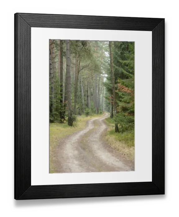 Framed Print : A winding dirt path through a serene