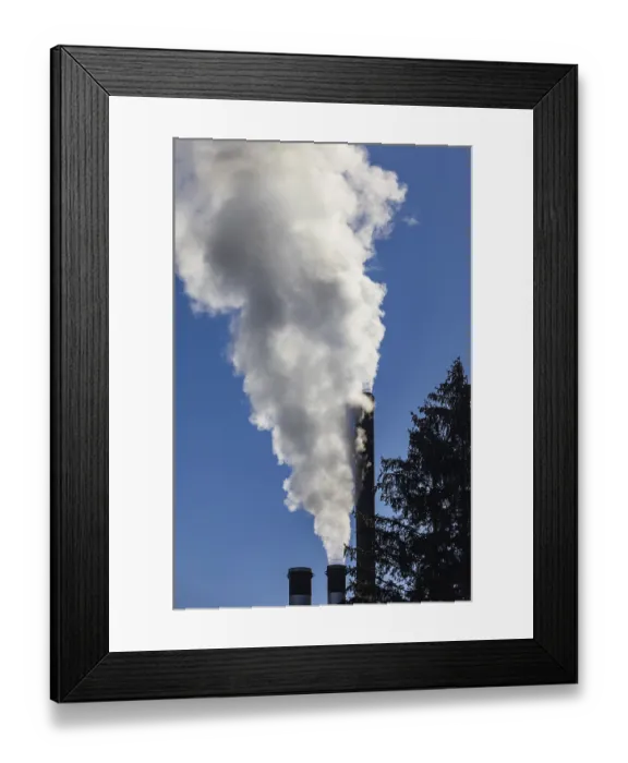 Framed Print : Pollution, industry, smoke coming from a factory chimney near a coniferous forest Framed Print : Pollution, industry, smoke coming from a factory chimney near a coniferous forest