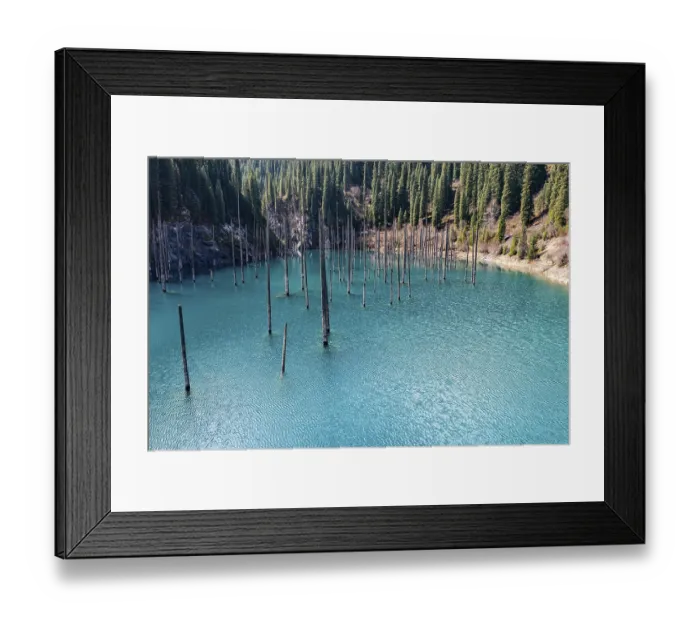 Framed Print : Aerial of the Kaindy lake with its dead trees Framed Print : Aerial of the Kaindy lake with its dead trees