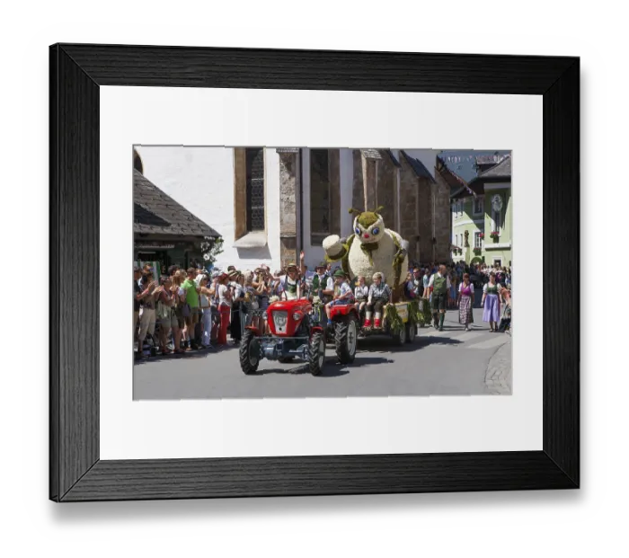 Framed Print : Narcissus Festival, Bad Aussee