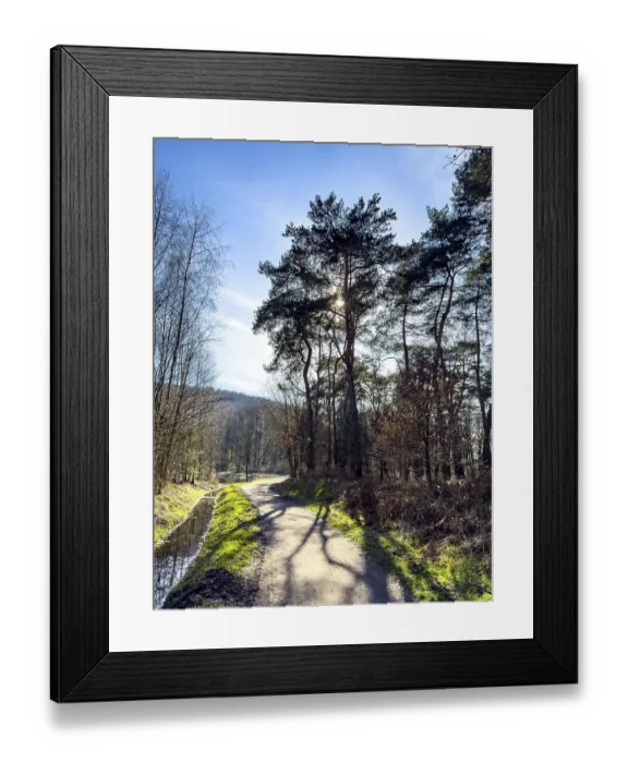 Framed Print : Backlit photograph with shade from trees on hiking trail cycle path through Kirchheller Schwarze Heide in spring Framed Print : Backlit photograph with shade from trees on hiking trail cycle path through Kirchheller Schwarze Heide in spring