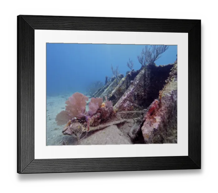 Framed Print : A marine landscape with corals and the wreck of the Benwood