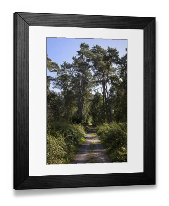 Framed Print : Datteln, North Rhine-Westphalia