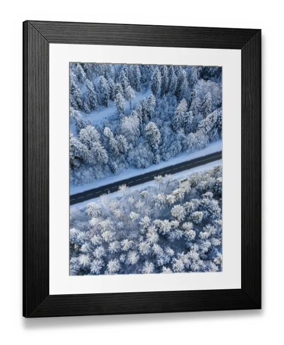 Framed Print : Snow-covered trees bordering a winding road in a wintry forest