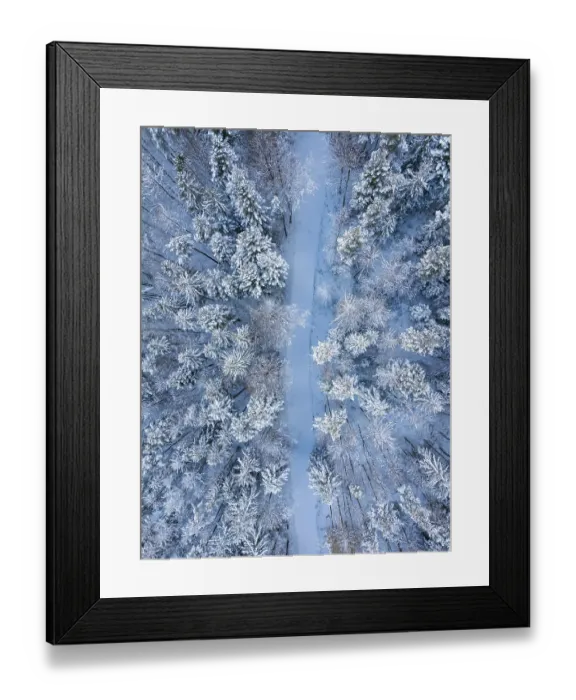 Framed Print : Snow-covered forest path between quiet Framed Print : Snow-covered forest path between quiet