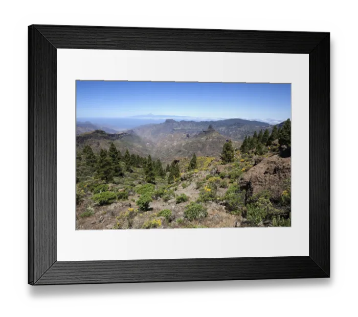 Framed Print : View from the trail around the Roque Nublo on blooming vegetation
