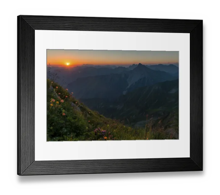 Framed Print : Sunrise over Lechtal Alps with flower meadow in the foreground Framed Print : Sunrise over Lechtal Alps with flower meadow in the foreground