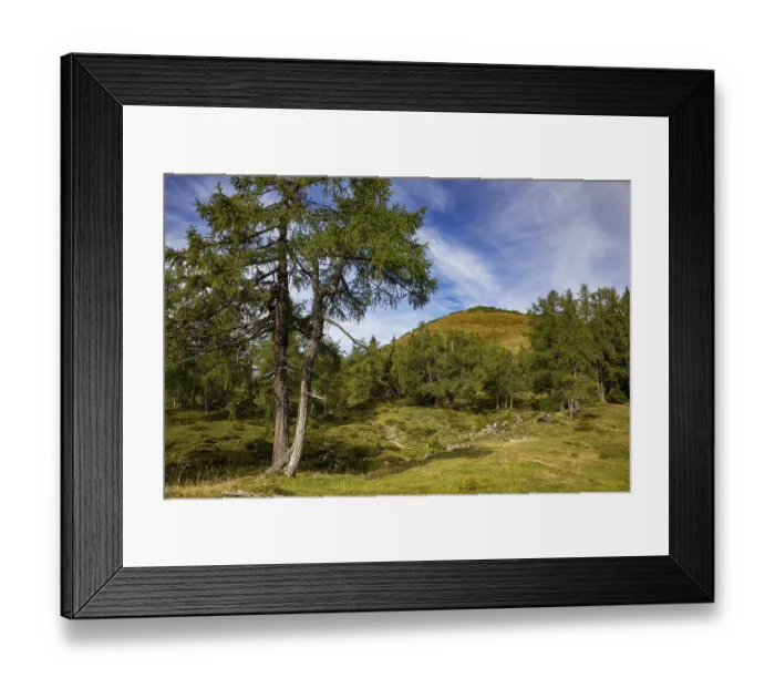 Framed Print : Hiking trail through a lark forest to the Pitscherberg