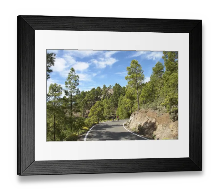 Framed Print : Cyclist, Road, Tamadaba, Wooded area