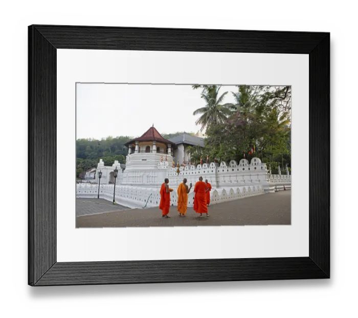 Framed Print : Buddhist monks at the Temple of the Tooth or Sri Dalada Maligawa