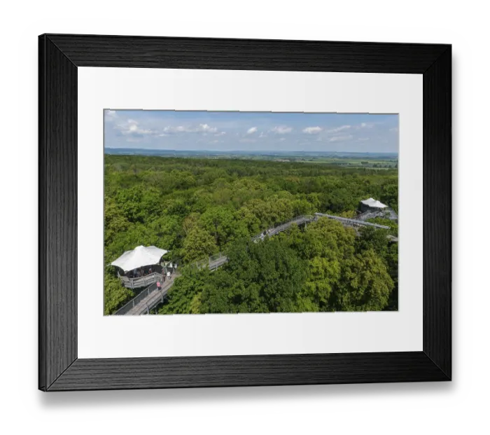 Framed Print : View from the viewing platform of the treetops with the treetop path Framed Print : View from the viewing platform of the treetops with the treetop path