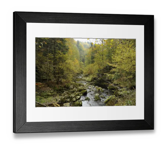 Framed Print : Stream flowing through an autumnal forest