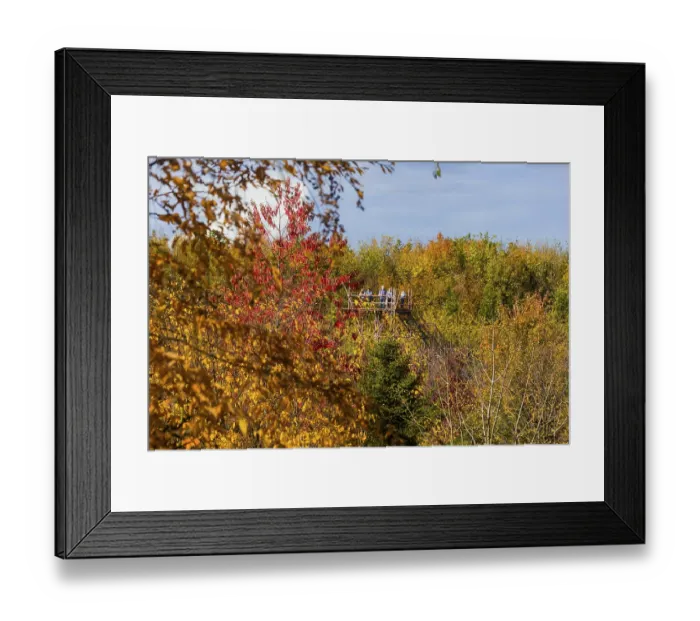Framed Print : The Forest Botanical Garden Tharandt is an institution of the Technical University of Dresden