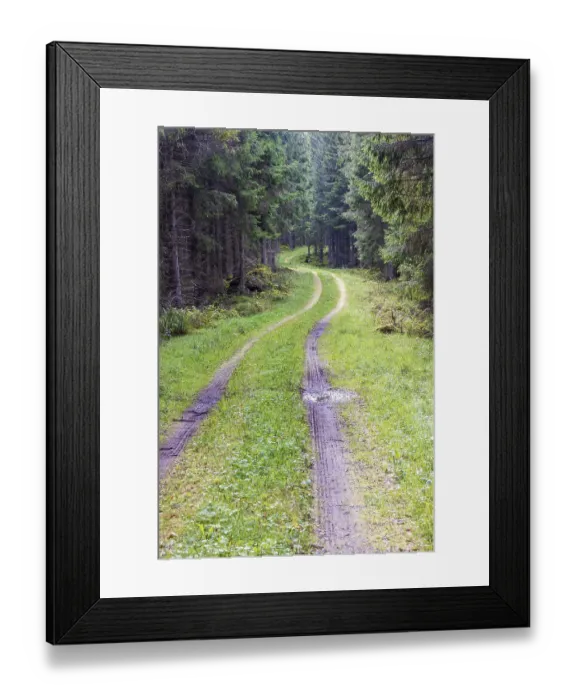 Framed Print : Winding forest road in a spruce forest with muddy tire tracks Sweden
