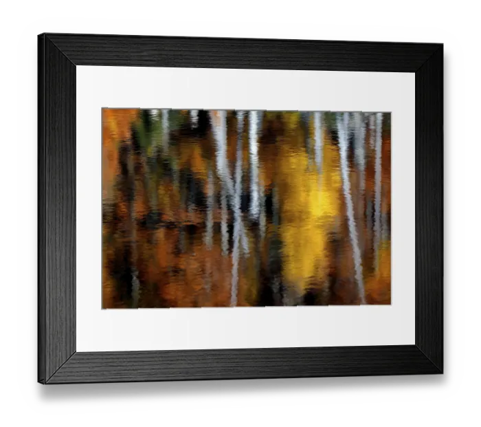 Framed Print : Autumnal trees, reflected in water Framed Print : Autumnal trees, reflected in water