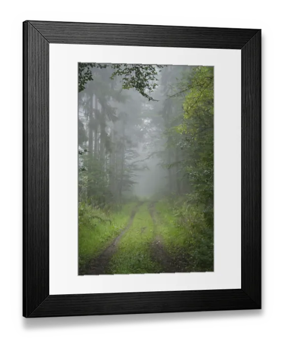 Framed Print : Morning mist, Taunus region, Hesse