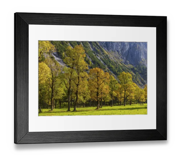 Framed Print : Nature conservancy area Grosser Ahornboden
