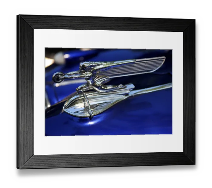 Framed Print : Hood ornament of a 1940 Packard at at Classic Car Show in Belvidere