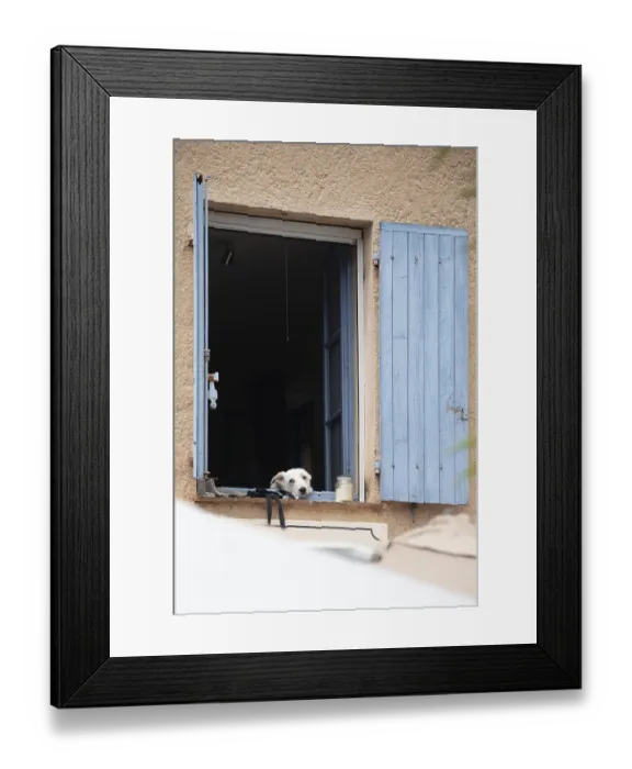 Framed Print : Dog looking tiredly out of window Framed Print : Dog looking tiredly out of window