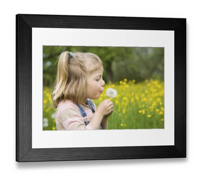 Framed Print : Girl sitting on a meadow holding a dandelion clock Framed Print : Girl sitting on a meadow holding a dandelion clock