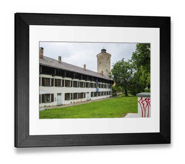 Framed Print : In the 19th century