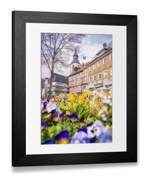 Framed Print : Half-timbered houses surrounded by flowers Framed Print : Half-timbered houses surrounded by flowers