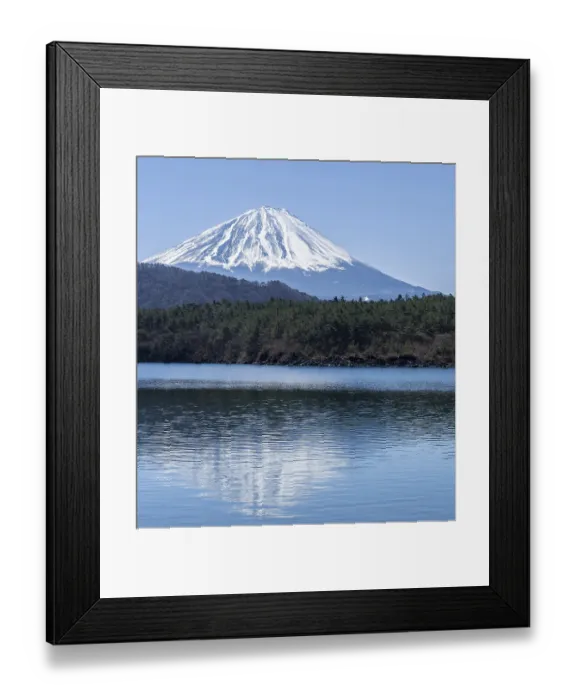 Framed Print : Lake Saiko, back volcano Mt. Fuji