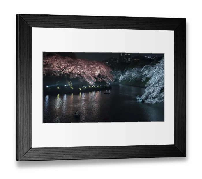 Framed Print : Canal with colored illuminated cherry trees on the shore at night